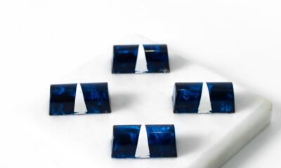 The Ultimate Guide to Understanding Blukit: Unraveling the Many Facets of a Versatile Term