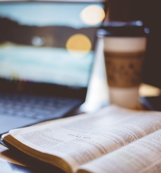 BibleRef.com: The Definitive Guide to the Free Online Bible Commentary