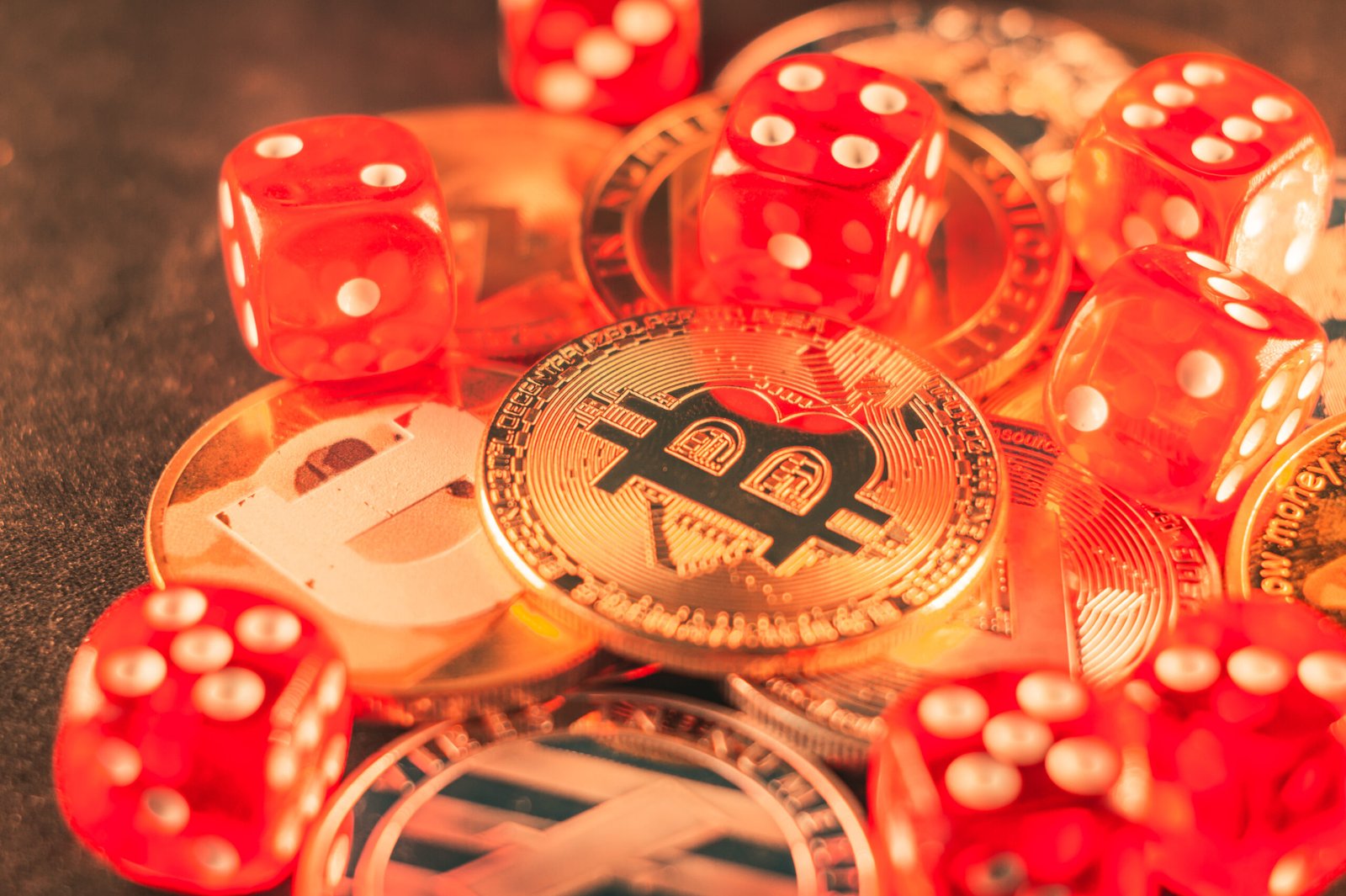 don bet casino