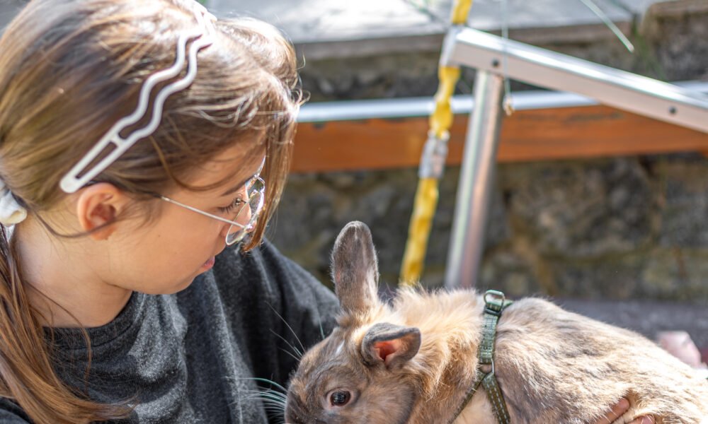 Zoothérapie : Guide Complet sur la Thérapie Assistée par l'Animal