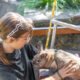 Zoothérapie : Guide Complet sur la Thérapie Assistée par l'Animal
